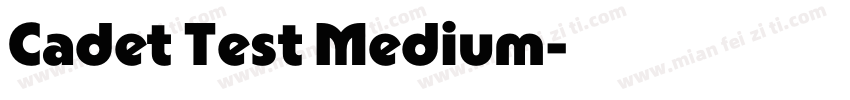 Cadet Test Medium字体转换